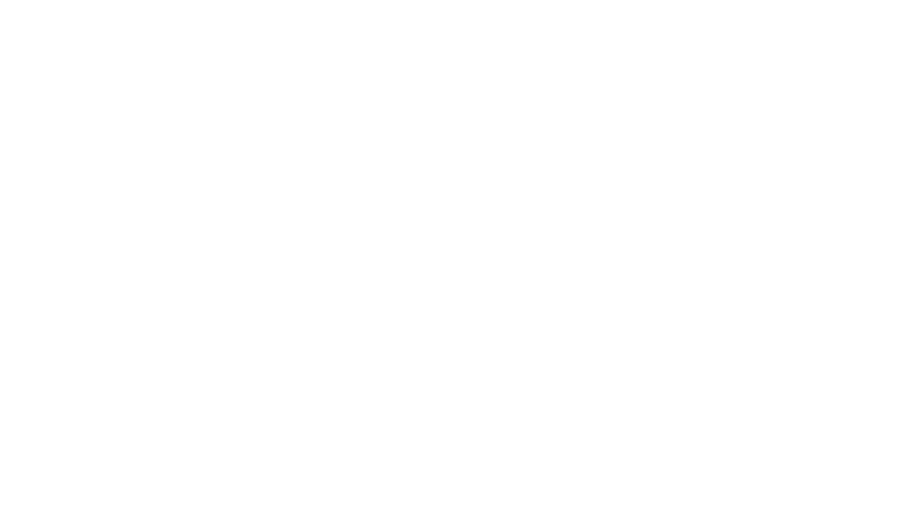 Steel Echoes logo